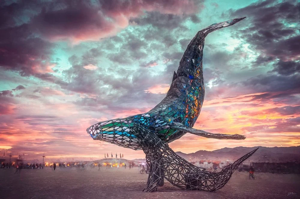 Space Whale at sunset